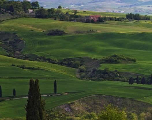 粉象生活能赚钱不
