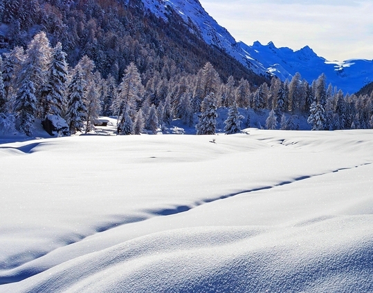 用户成长体系设计