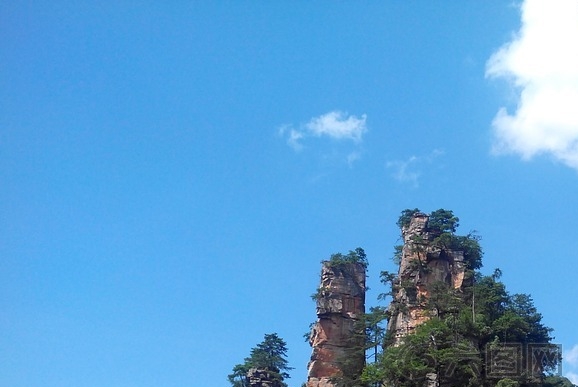 粉象生活怎么加入团队