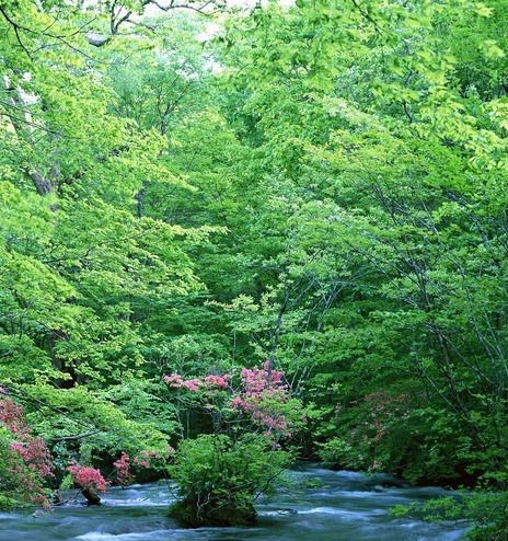 抖音网红有做粉象生活的吗