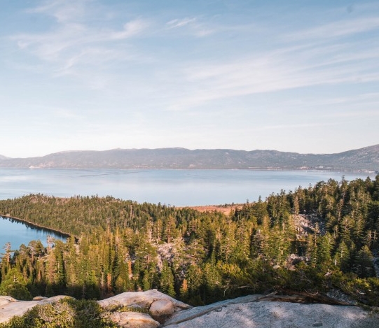 粉象生活邀请码