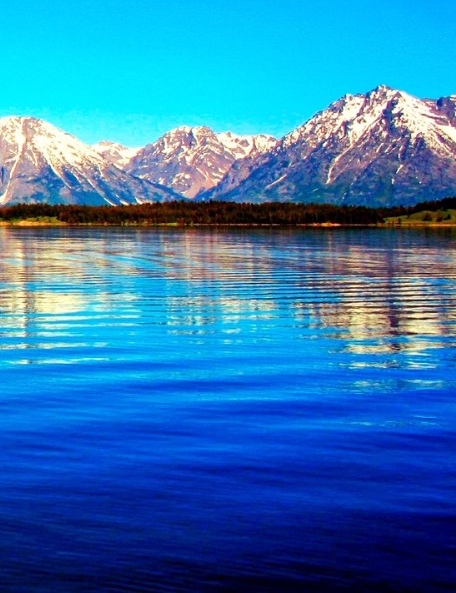 粉象生活是真的假的