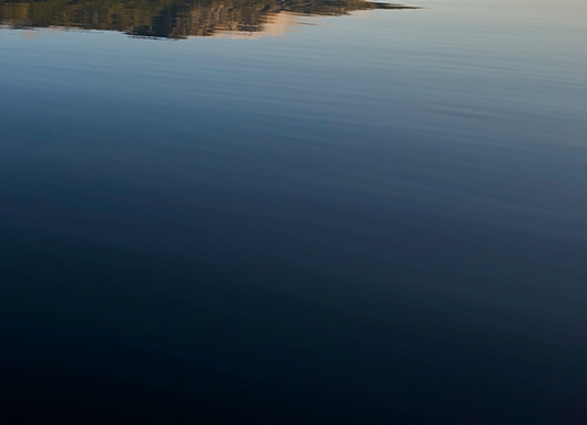 粉象生活邀请码
