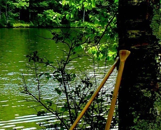 粉象生活怎么赚钱的