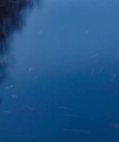 粉象生活可以赚钱吗