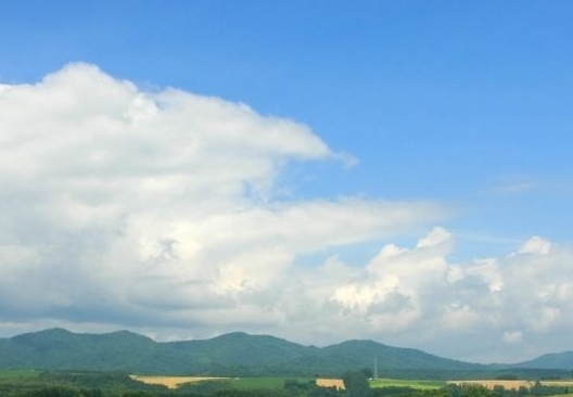 粉象分享就可以的佣金吗