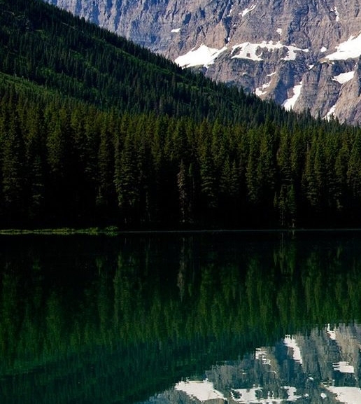 粉象生活怎么赚钱