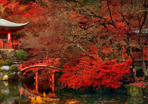 粉象生活官方APP邀请码