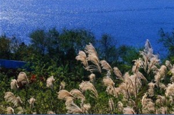 粉象生活怎么赚钱的