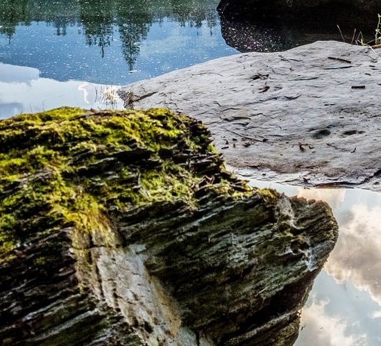 粉象生活做淘宝可以吗