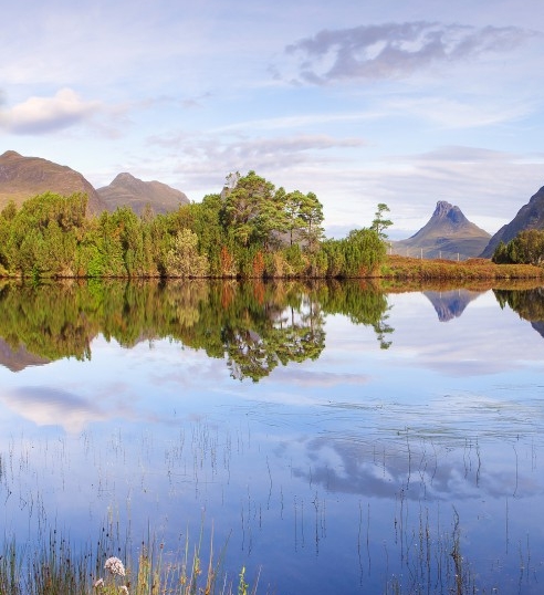 粉象生活如何获得免费水果
