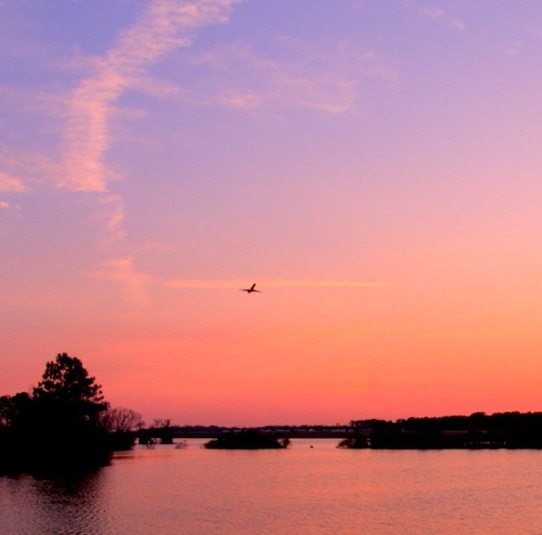 粉象生活宝妈如何挣钱