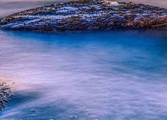 粉象生活会员邀请码怎么写