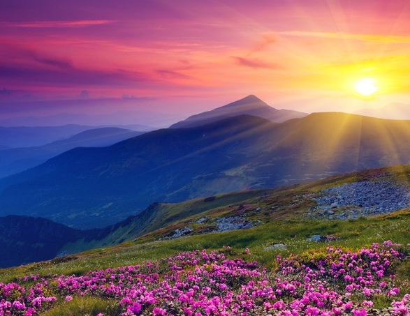 南通粉象生活图片