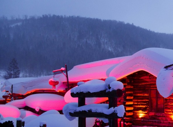 粉象生活团购怎么买东西