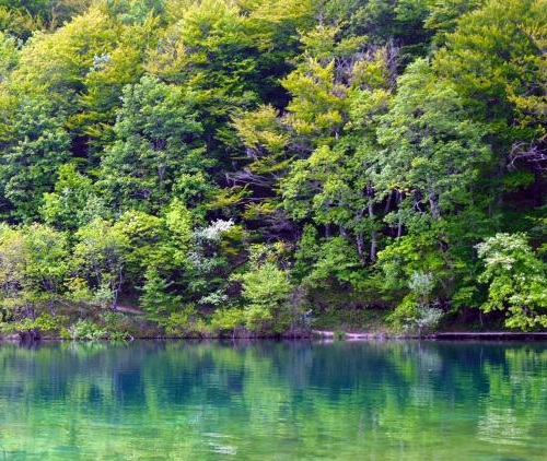 粉象生活怎么赚钱