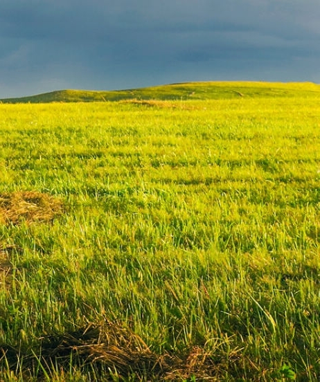 东莞粉象生活会员