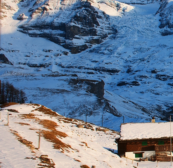 粉象挣钱是真的吗