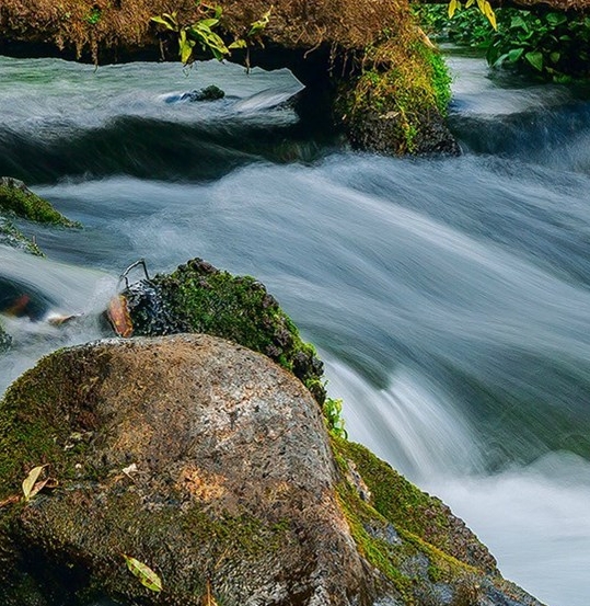 深圳粉象生活佣金
