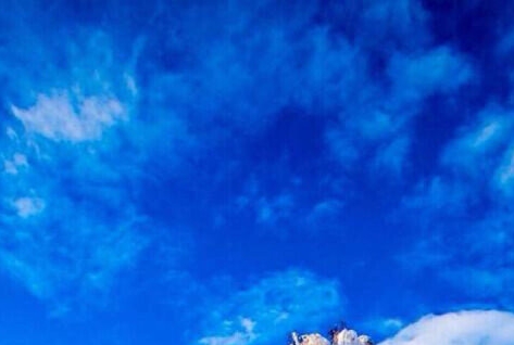 粉象生活创业攻略