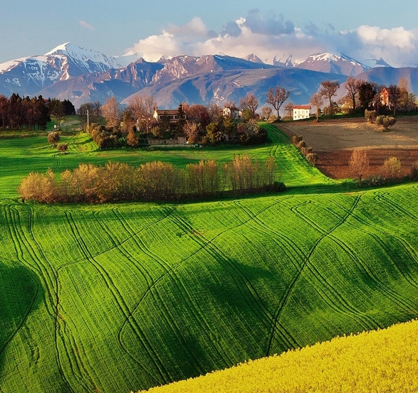 做粉象生活犯罪不