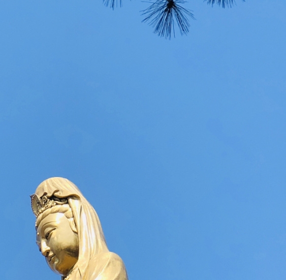 粉象生活怎么看自己的好友