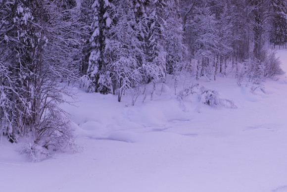 粉象生活粉丝怎么增加