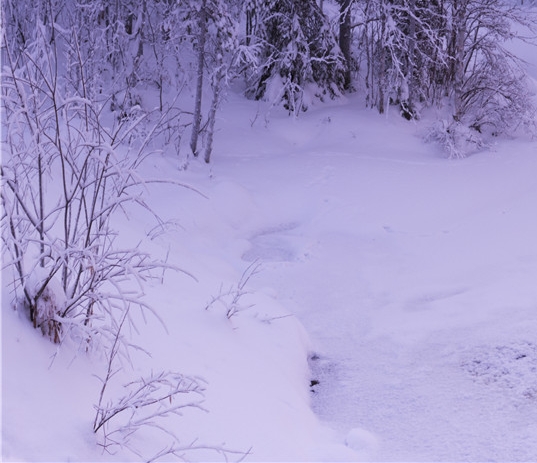 上一道面包粉怎么样