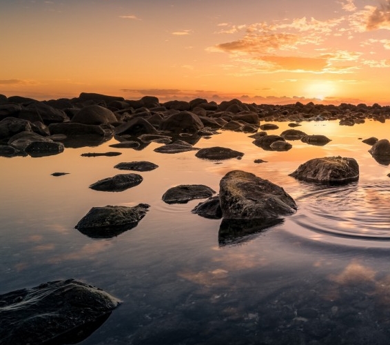 已经实名认证了怎么取消