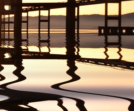 粉象生活团队注册流程