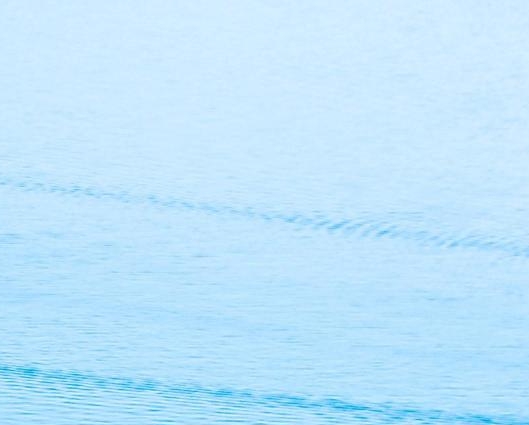 粉象生活下载app