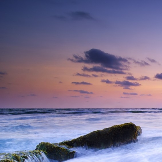 粉象生活现在的粉丝数