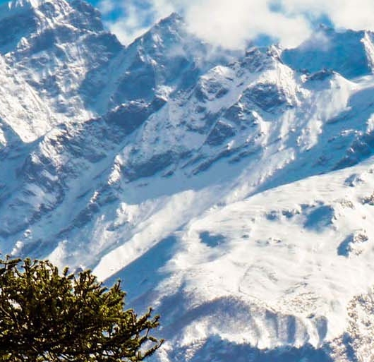 辽宁正规粉象生活