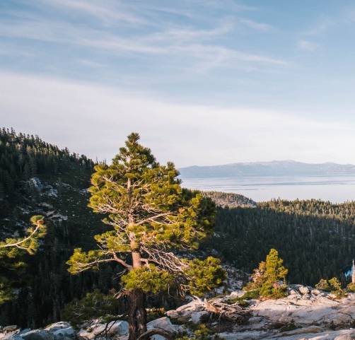 粉象生活如何更换店铺