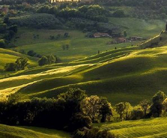 粉象生活推广引流