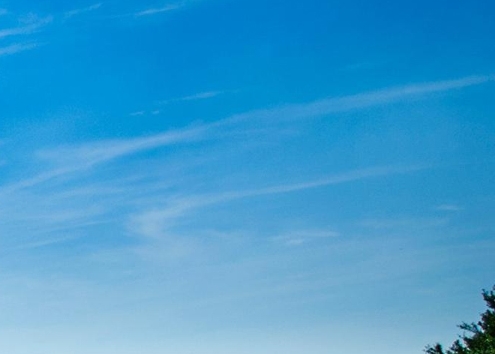 粉象生活合法吗