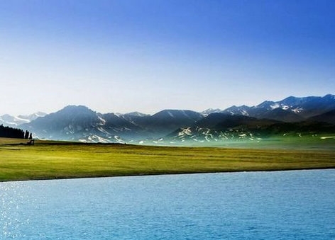 粉象生活加盟项目