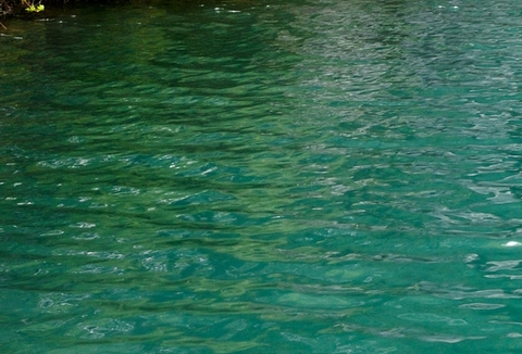 粉象生活总部电话多少