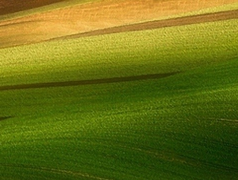 广东粉象生活如何使用