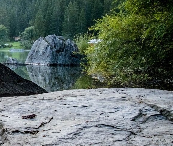 粉象生活下载app