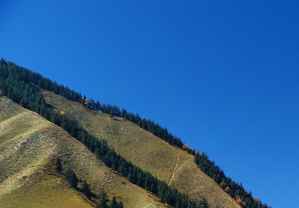 疫情期间粉象生活