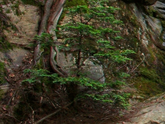 杭州粉象生活公司