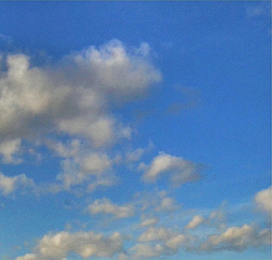 粉象生活赚钱教程