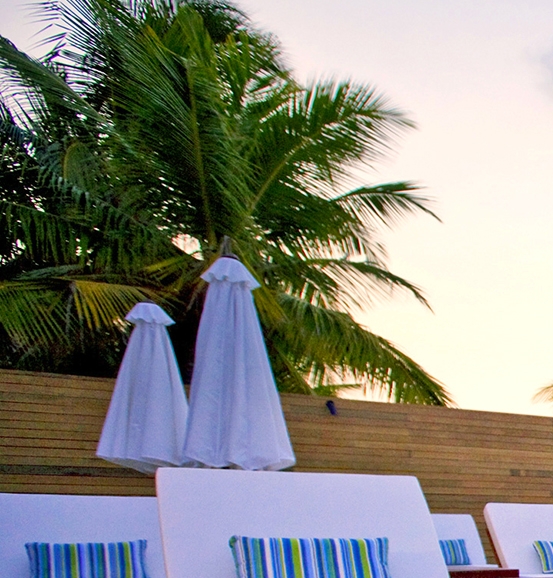 粉象生活怎么买东西