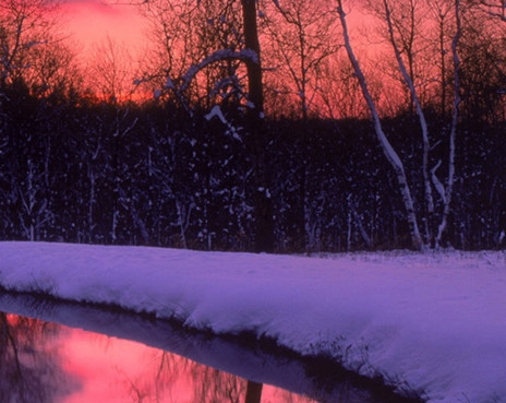 粉象生活怎么下载注册