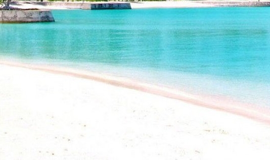 社交电商粉象生活能赚钱吗