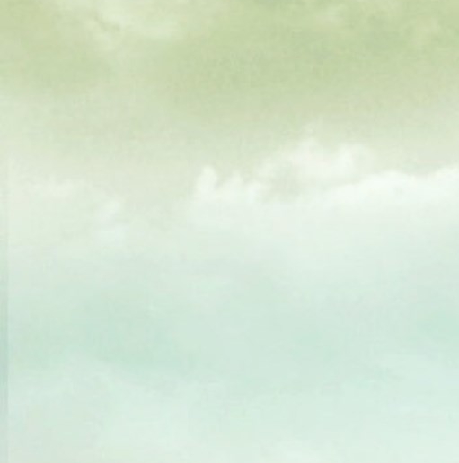 粉象生活合法吗