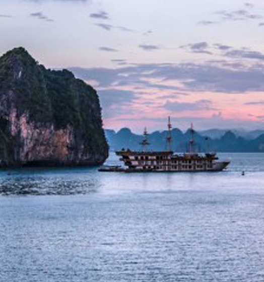 粉象生活哪个产品最火