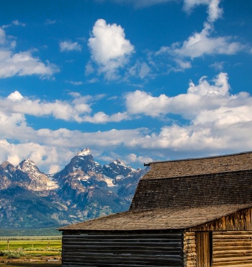 粉象生活粉丝怎么增加