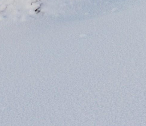 好省和粉象生活哪个好